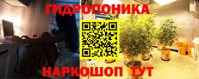 соль ск Рыбинск