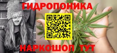 индика Рязань