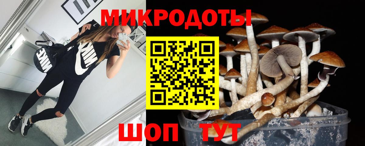 Нововоронеж  Галлюциногенные грибы MAGIC MUSHROOMS  Вход с VPN  Псилоцибиновые грибы Magic Shrooms 